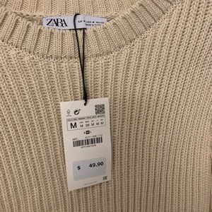 Zara Knit Sweater with Sheer Sleeves